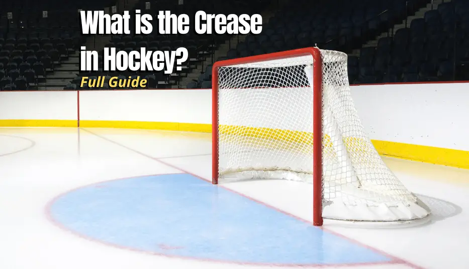 What Is The Crease In Hockey NHL Crease Rule Hockey Response