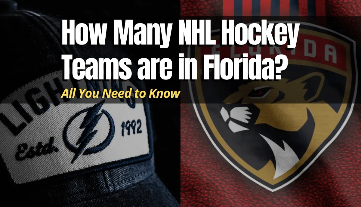 How Many Nhl Hockey Teams Are In Florida Battle Of Florida Hockey